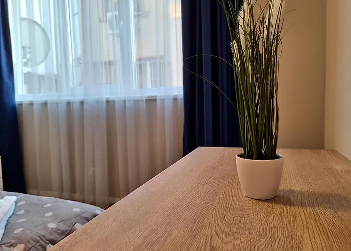 Modern And Cozy Flat In The Center Apartment